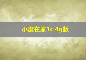 小度在家1c 4g版